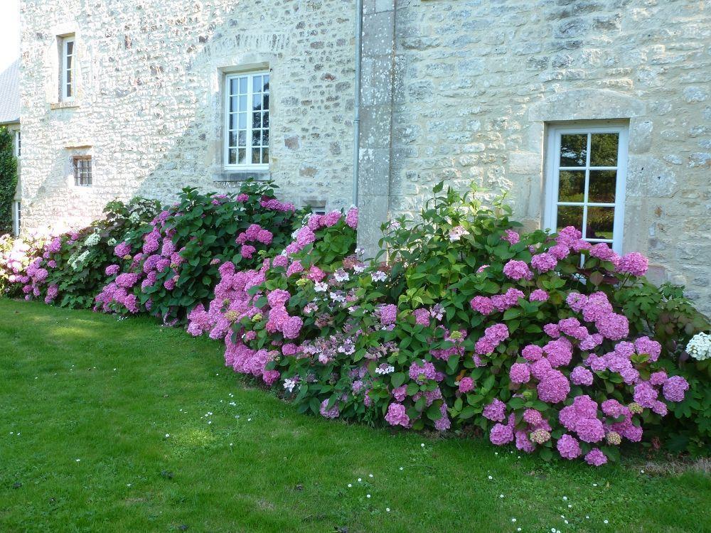 Manoir De Savigny Bed & Breakfast Valognes Exterior photo