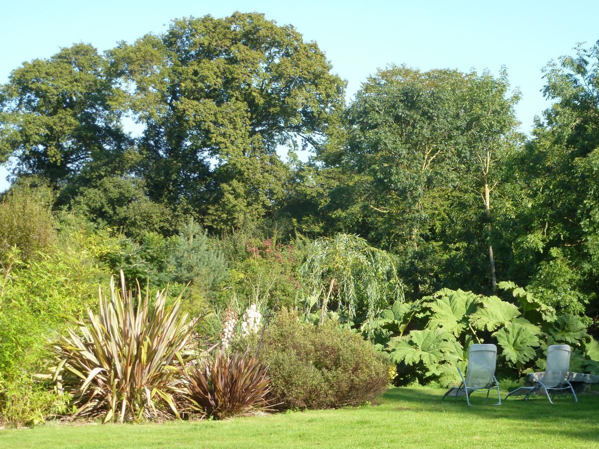 Manoir De Savigny Bed & Breakfast Valognes Exterior photo